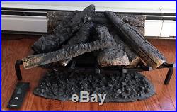 DIMP-DLG1058-Dimplex DLG1058 Open Hearth Fireplace Insert with Faux Logs Bed, B