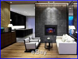 NAPOLEON 29 in Cinema Series Electric Fireplace Insert Hardwired Modern
